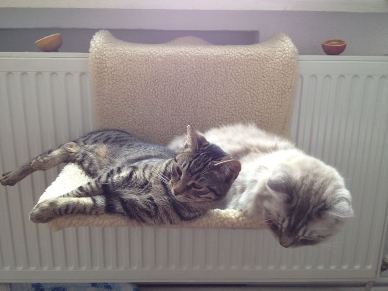 Doi pe un balasoar 2