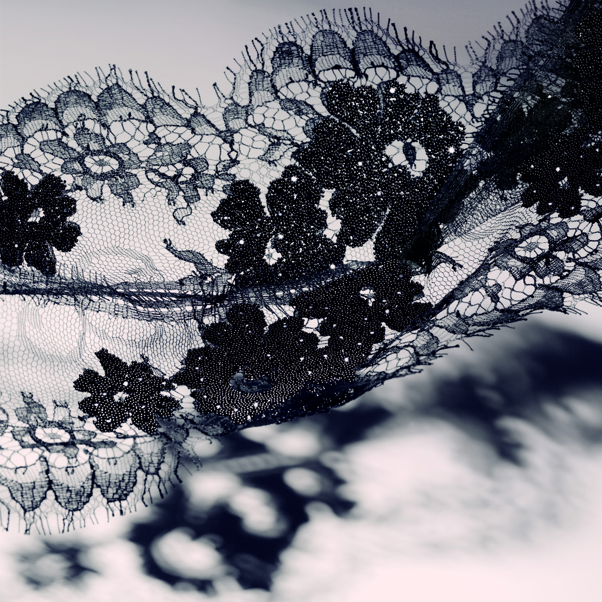 SOPHIE HALLETTE_crystal