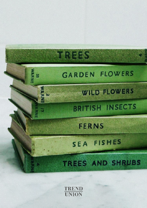 Capture-d’écran-2019-08-01-à-15.12.09-509x720